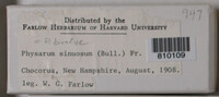 Image Associated With the Occurence